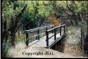 Wooded Bridge - Cedar Hill State Park, Dallas, TX