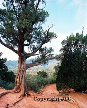 Father and Son - Garden of the Gods, Colorado Springs, CO