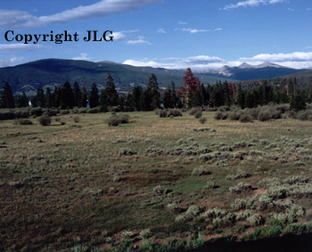 Lake Dillon Wetlands - Frisco, CO