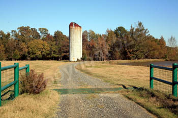 Autumn Gate - East Texas